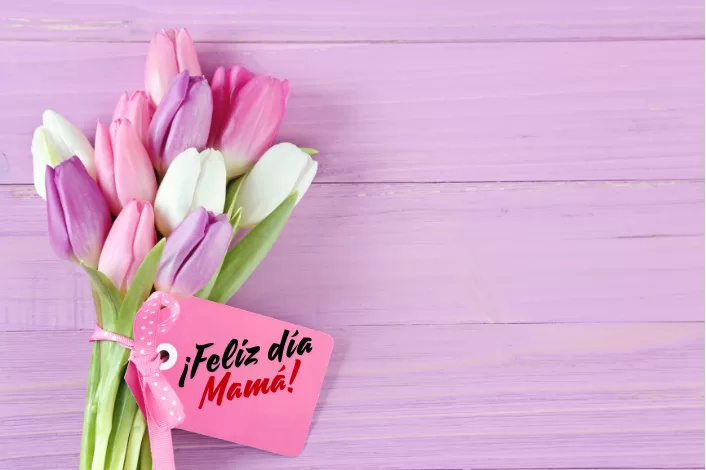 Feliz día Mamá