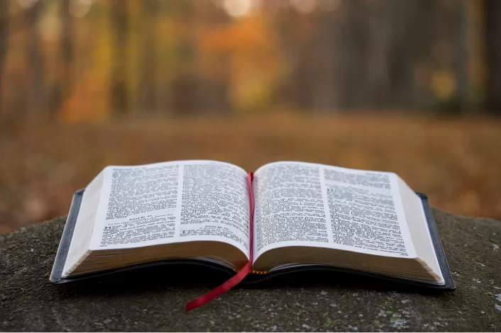 LA BIBLIA